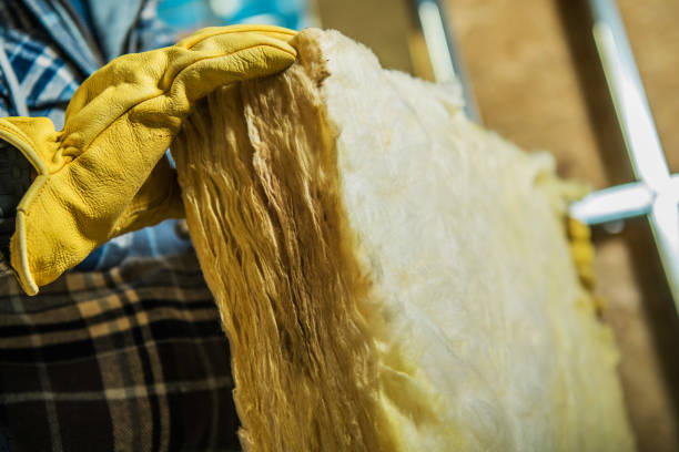 Best Specialized Insulation Services in Hartford, IL