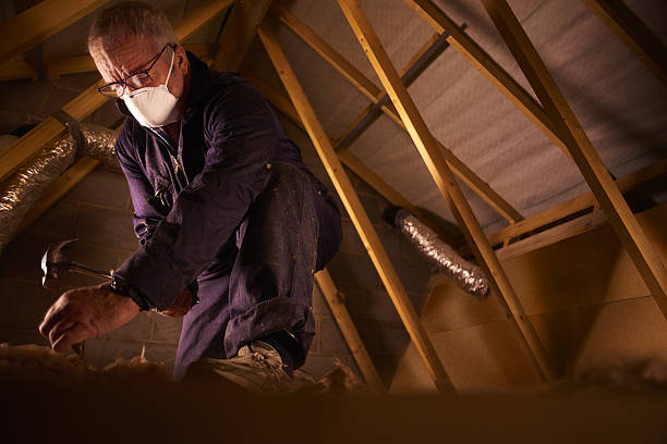 Best Geographic-Specific Insulation Services in Hartford, IL