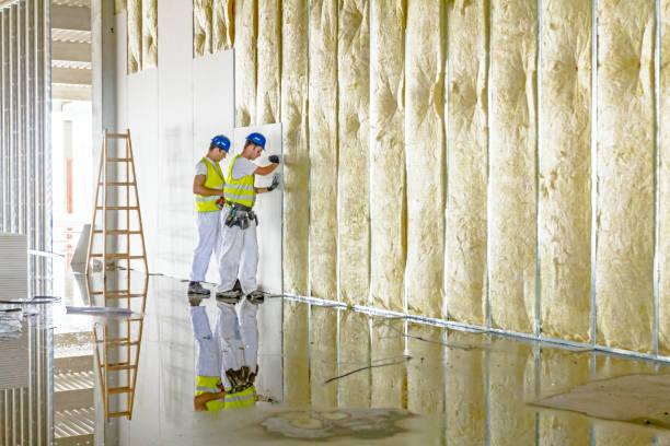 Best Specialized Insulation Services in Hartford, IL